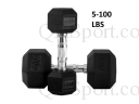 【MAX】健身室專業啞鈴 固定重量 5-100 隻/磅 5磅一層級